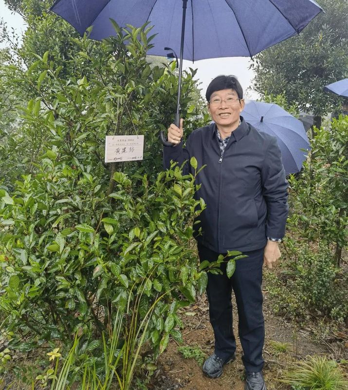 有关于宁德市省政协委员“茶文化、茶产业、茶科技融合发展调研组”考察大荒森林荒野老树白茶山的相关内容(5)
