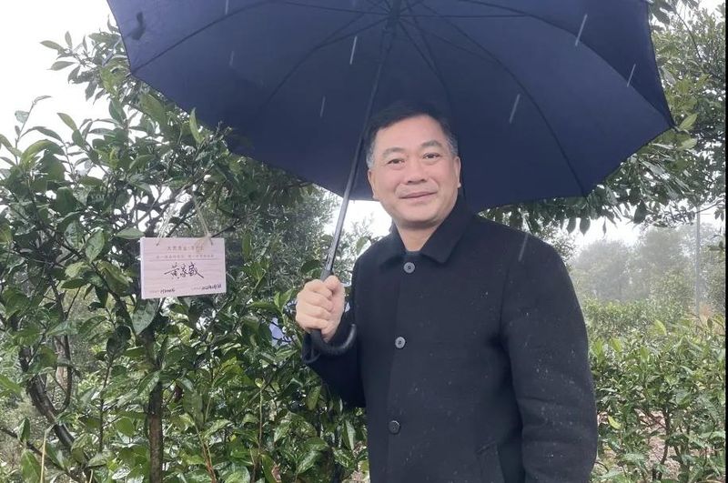 有关于宁德市省政协委员“茶文化、茶产业、茶科技融合发展调研组”考察大荒森林荒野老树白茶山的相关内容(6)