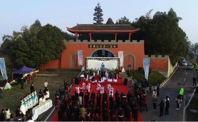 关于2022年第十五届中国·宜宾早茶节开园采摘活动在高县举行的消息(1)