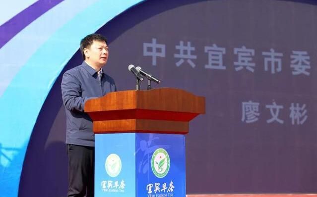 关于2022年第十五届中国·宜宾早茶节开园采摘活动在高县举行的消息(8)