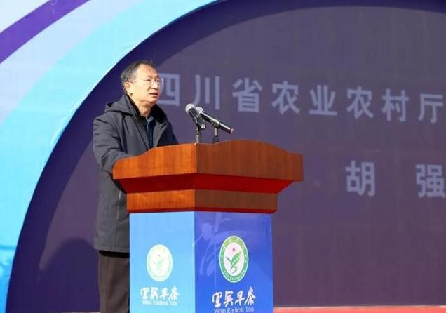 关于2022年第十五届中国·宜宾早茶节开园采摘活动在高县举行的消息(7)