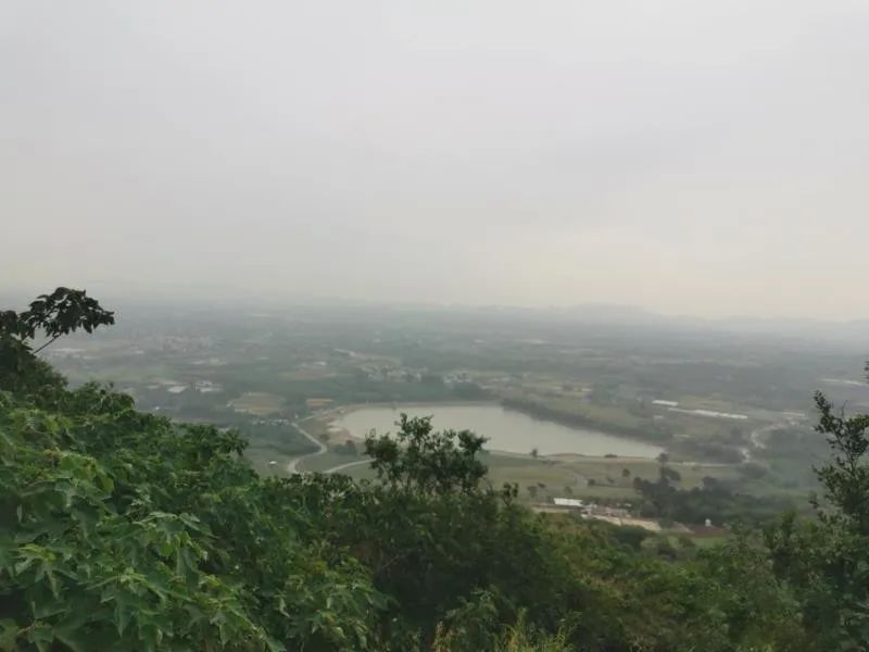 有关于百条红色茶乡旅游精品路线，湖南句容：“茅山长青”红色茶旅二日游的相关信息(15)