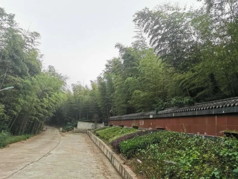 有关于百条红色茶乡旅游精品路线，湖南句容：“茅山长青”红色茶旅二日游的相关信息(16)
