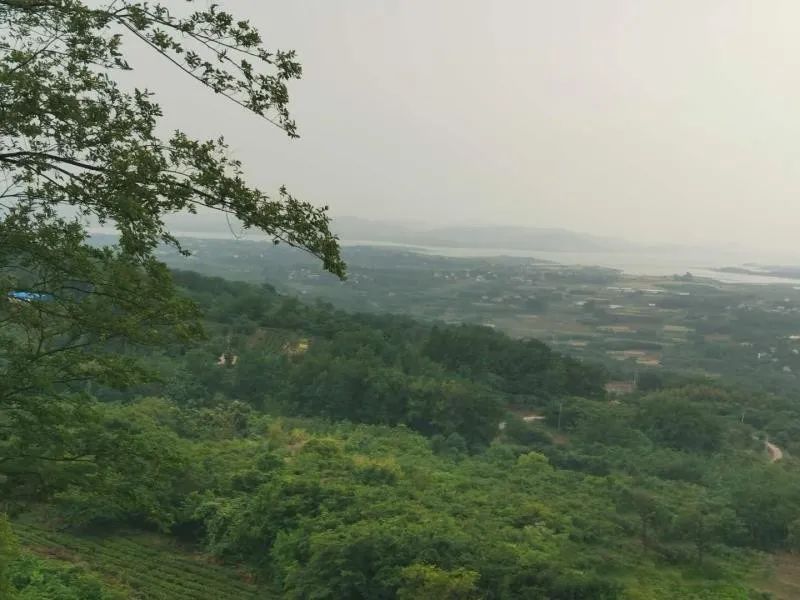 有关于百条红色茶乡旅游精品路线，湖南句容：“茅山长青”红色茶旅二日游的相关信息(14)