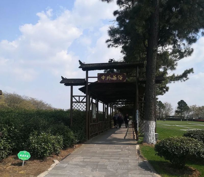 有关于百条红色茶乡旅游精品路线，湖南句容：“茅山长青”红色茶旅二日游的相关信息(2)