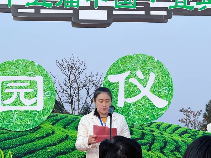 关于“一品先天下 早茶最宜宾”第十五届宜宾早茶节开园采摘活动隆重举办的最新消息(1)