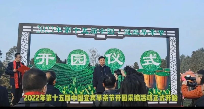 关于“一品先天下 早茶最宜宾”第十五届宜宾早茶节开园采摘活动隆重举办的最新消息
