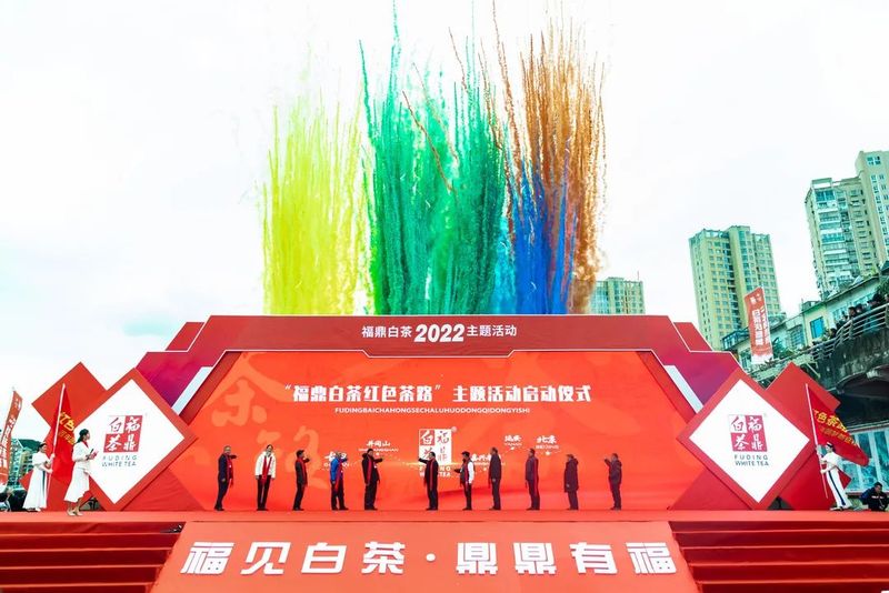 有关于2022“白茶庆冬奥，一起向未来”福鼎白茶主题活动顺利举行！的消息(11)