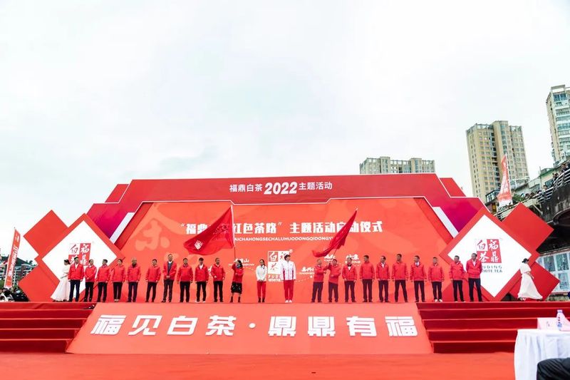 有关于2022“白茶庆冬奥，一起向未来”福鼎白茶主题活动顺利举行！的消息(12)