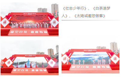 有关于2022“白茶庆冬奥，一起向未来”福鼎白茶主题活动顺利举行！的消息(8)