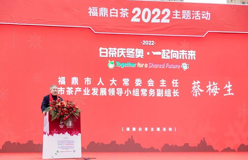 有关于2022“白茶庆冬奥，一起向未来”福鼎白茶主题活动顺利举行！的消息(3)