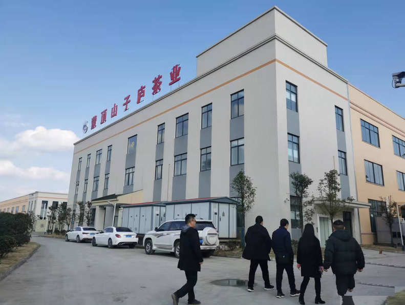 有关于雅安：春气盎然吐新芽，茶企生产准备忙的内容(4)