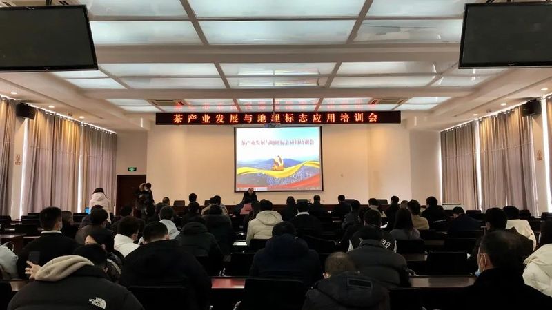 关于政和县举办茶产业发展与地理标志应用培训会的资讯