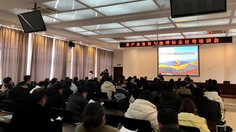 关于政和县举办茶产业发展与地理标志应用培训会的资讯(4)