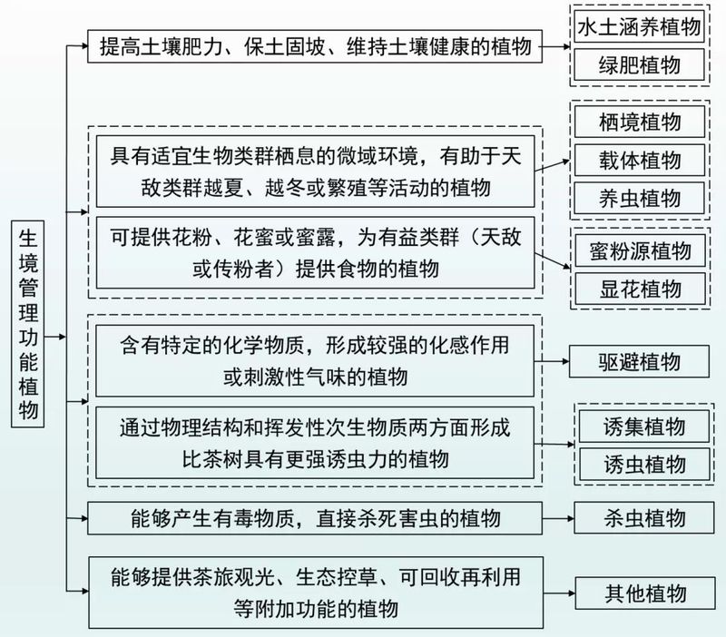 有关于管理茶园正当时，从生境管理看茶园变化的新闻(8)