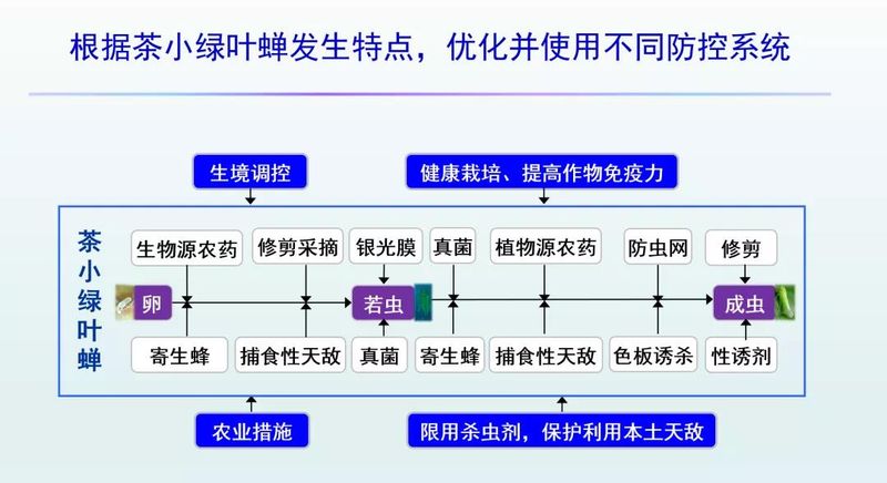有关于管理茶园正当时，从生境管理看茶园变化的新闻(7)