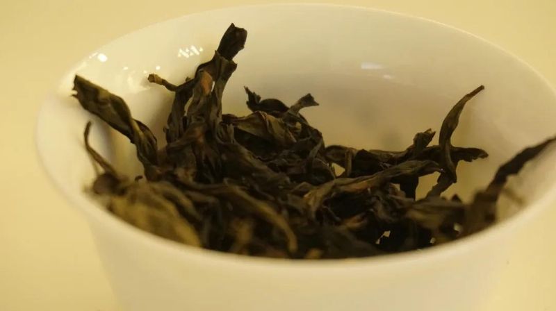 有关于管理茶园正当时，从生境管理看茶园变化的新闻