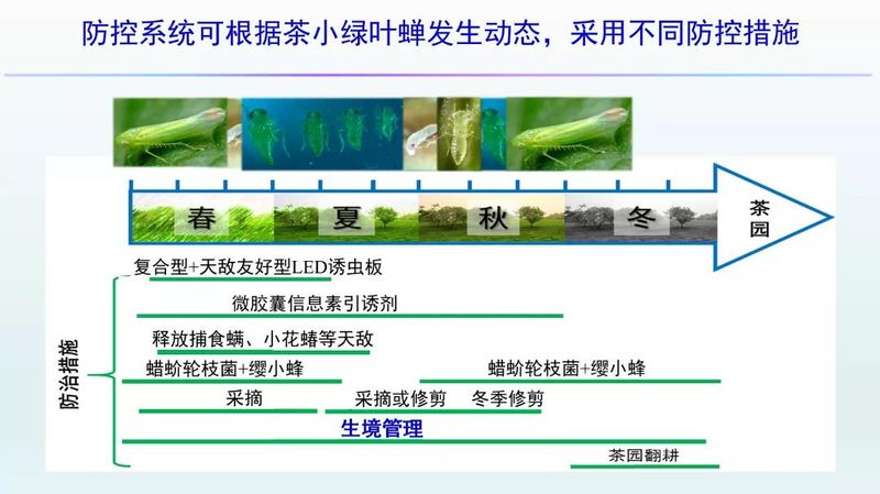 有关于管理茶园正当时，从生境管理看茶园变化的新闻(6)