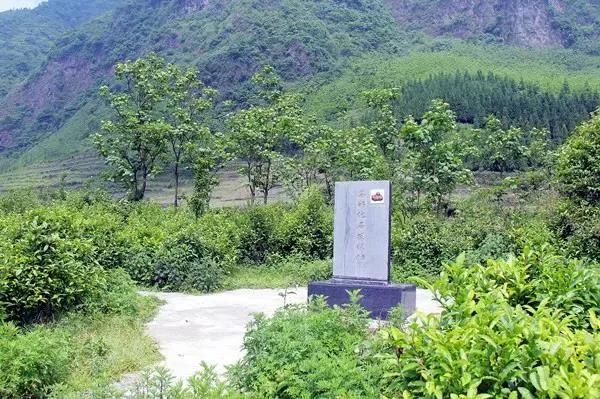 关于相约世界茶源地！首届贵州（晴隆）早春茶全国采购商大会来了的新闻