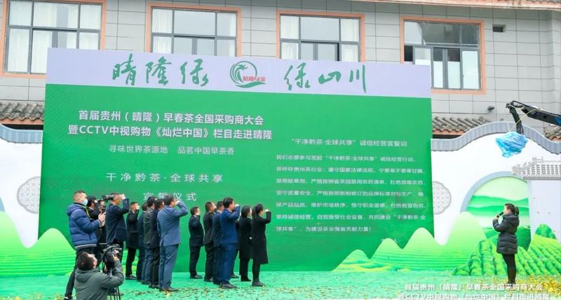 有关于首届贵州早春茶全国采购商大会在晴隆召开的内容(4)