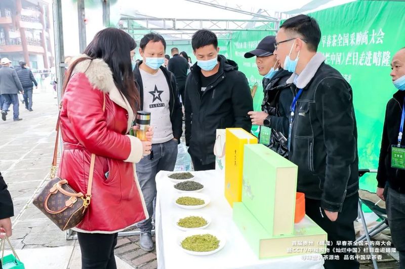 有关于首届贵州早春茶全国采购商大会在晴隆召开的内容(2)