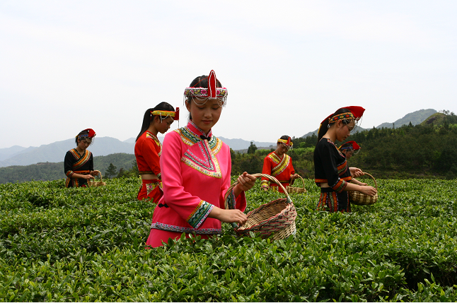 有关于南方嘉木新,温州早茶鲜——2022“温州早茶”品牌展启动的新闻
