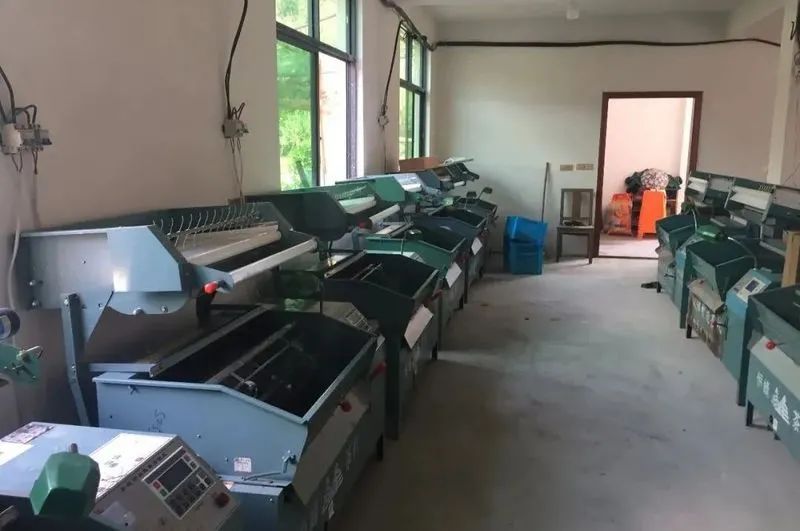 关于春茶临考,这五项准备做好了吗?的信息