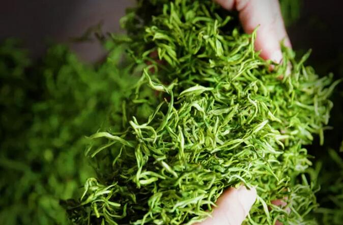 洞庭碧螺春的产地(1)