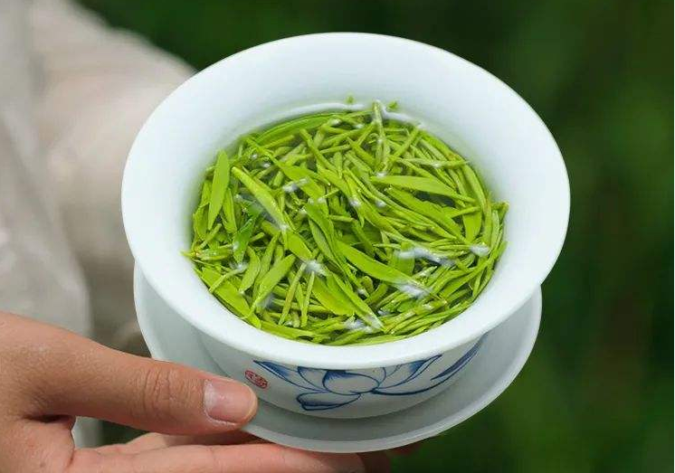 关于2022年贵州都匀毛尖茶春茶价格多少钱？ 的内容(3)