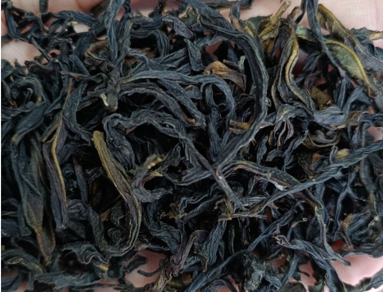 有关于2022年凤凰单丛茶春茶价格多少钱 的新闻