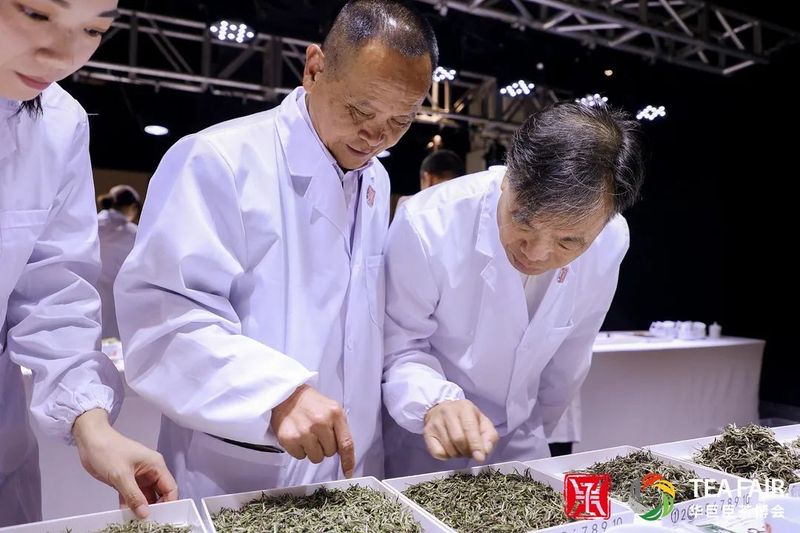 关于福建省36家茶企荣获“中茶杯”国际鼎承茶王赛奖项！的资讯(5)