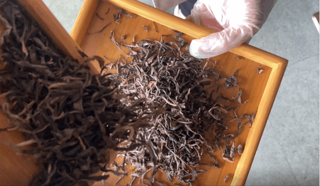 关于六大茶山的最新消息(16)
