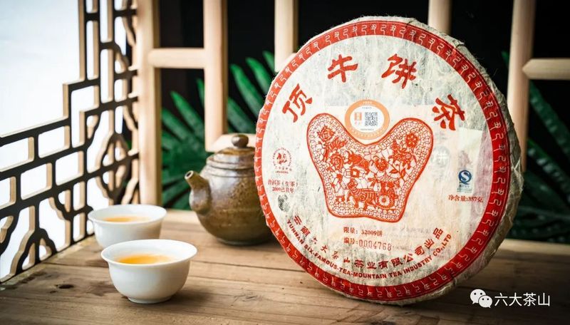 关于六大茶山的最新消息(14)