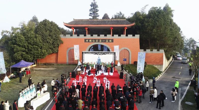 有关于直通茶乡②宜宾早茶开采啦！的信息