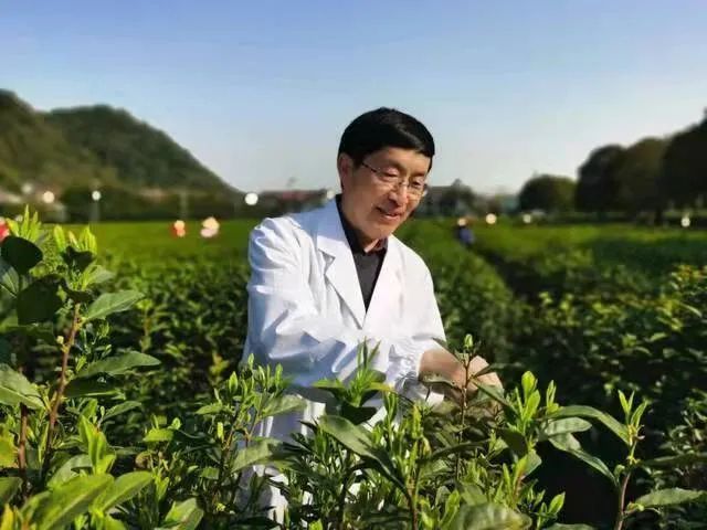 有关于被专家们评定为"优"的这款早春茶 你确定不尝尝？的消息(4)