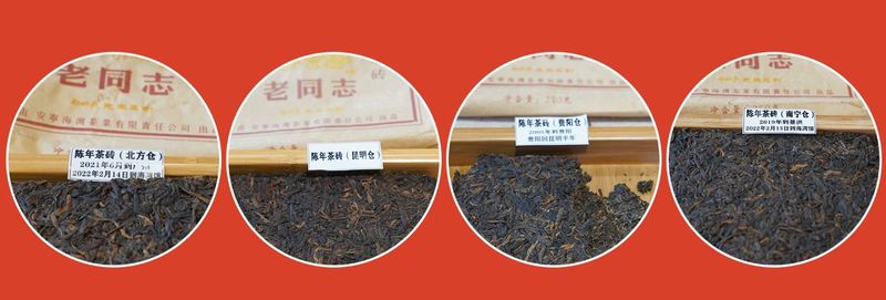 关于老同志的资讯(3)
