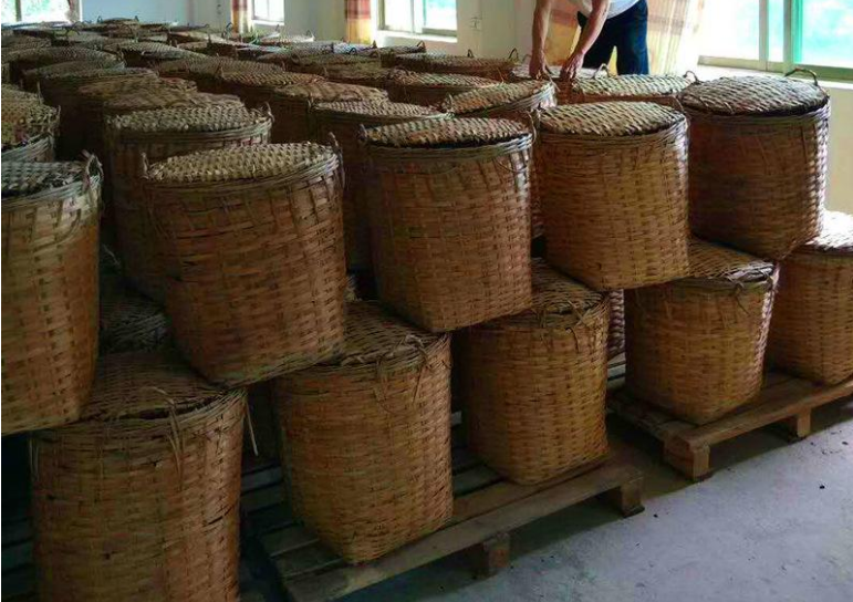 有关于2022年广西六堡茶春茶价格多少钱 的相关信息