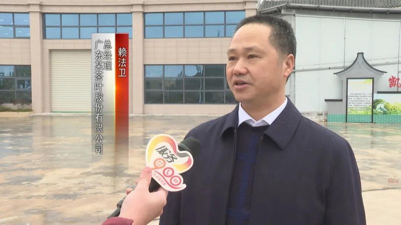 关于广东持续低温影响茶叶生长 春茶上市或推后的内容(14)