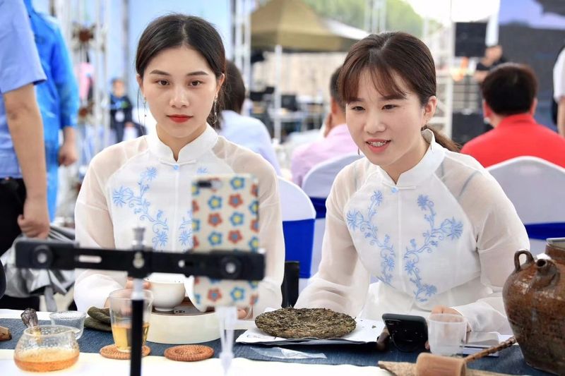 有关于网络直播“年货节” 福鼎白茶很“红”的新闻(1)