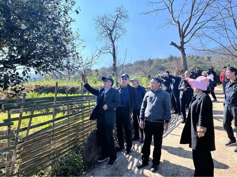关于云南省茶叶流通协会赴临沧开展茶产业调研工作，建立“白莺山茶产业助力乡村振兴挂钩联系点”的相关内容