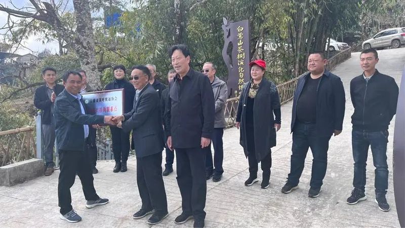关于云南省茶叶流通协会赴临沧开展茶产业调研工作，建立“白莺山茶产业助力乡村振兴挂钩联系点”的相关内容(3)