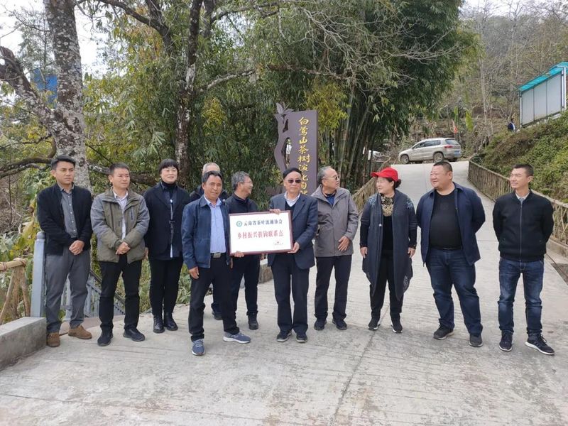 关于云南省茶叶流通协会赴临沧开展茶产业调研工作，建立“白莺山茶产业助力乡村振兴挂钩联系点”的相关内容(4)