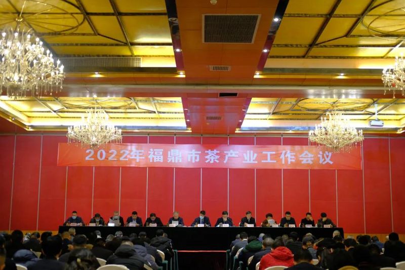 有关于乘势而上 再创新绩——2022年福鼎市茶产业工作会议召开的新闻