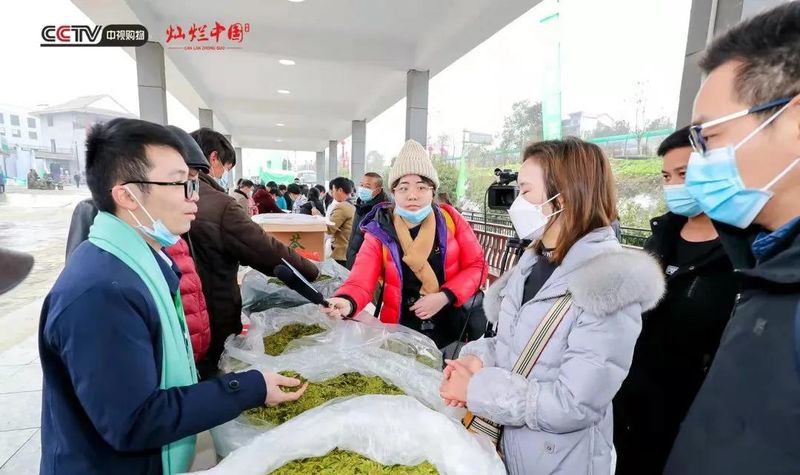 关于齐聚世界茶源地 解锁舌尖上的春意的最新消息(4)