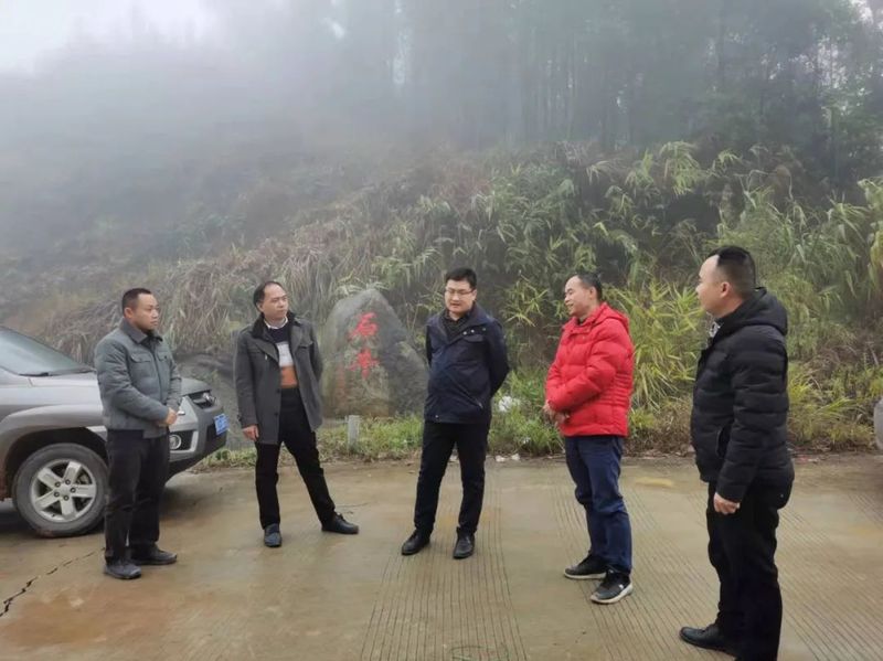 有关于苍梧县六堡茶产业发展(六堡特色镇建设)指挥部工作会议召开的资讯(2)