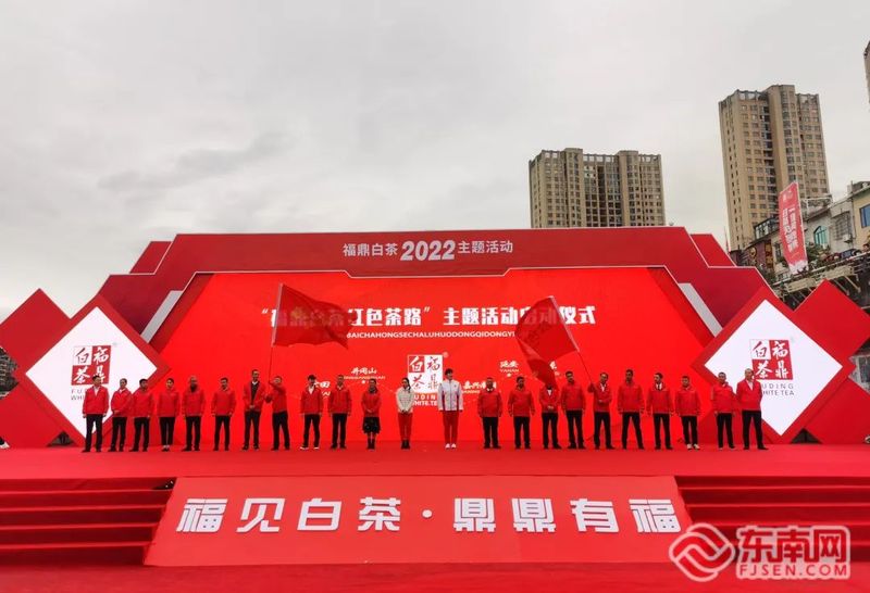 有关于十位奥运、世界冠军齐聚福鼎 为福鼎白茶“代言”的相关信息
