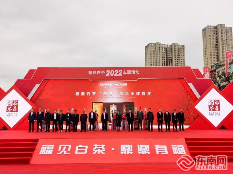有关于十位奥运、世界冠军齐聚福鼎 为福鼎白茶“代言”的相关信息(2)