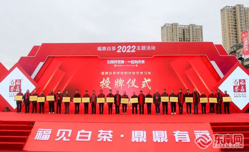 有关于十位奥运、世界冠军齐聚福鼎 为福鼎白茶“代言”的相关信息(3)