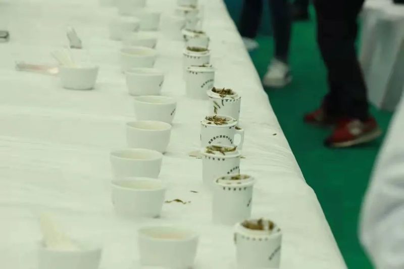 关于“天府龙芽杯”2022年四川省扁形绿茶手工制作职业技能竞赛成功举行！的资讯(7)