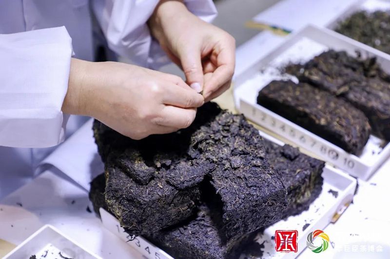 关于陕西省16家茶企荣获“中茶杯”国际鼎承茶王赛奖项！的内容(4)